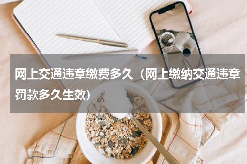 网上交通违章缴费多久（网上缴纳交通违章罚款多久生效）
