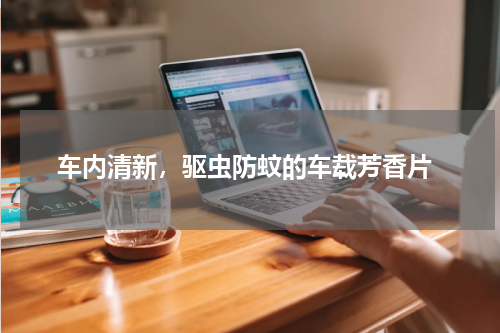  车内清新，驱虫防蚊的车载芳香片