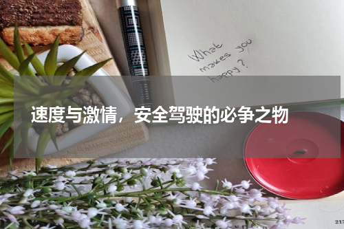  速度与激情，安全驾驶的必争之物 
