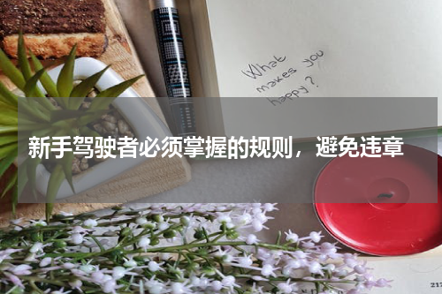  新手驾驶者必须掌握的规则，避免违章