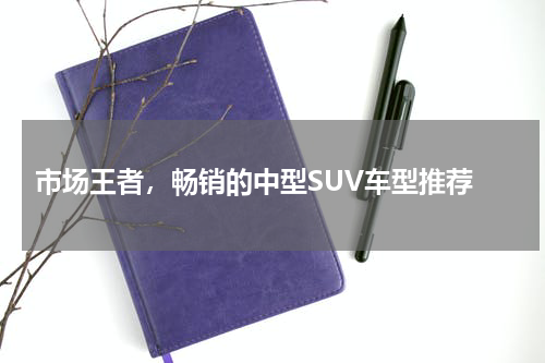  市场王者，畅销的中型SUV车型推荐