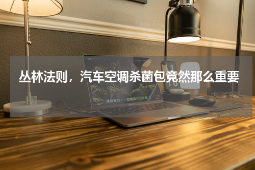  丛林法则，汽车空调杀菌包竟然那么重要 