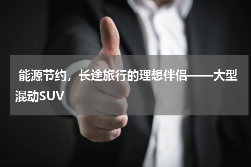  能源节约，长途旅行的理想伴侣——大型混动SUV