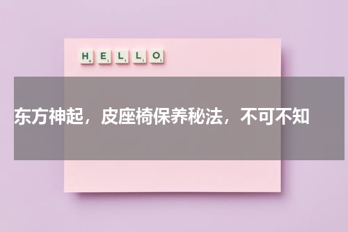  东方神起，皮座椅保养秘法，不可不知 