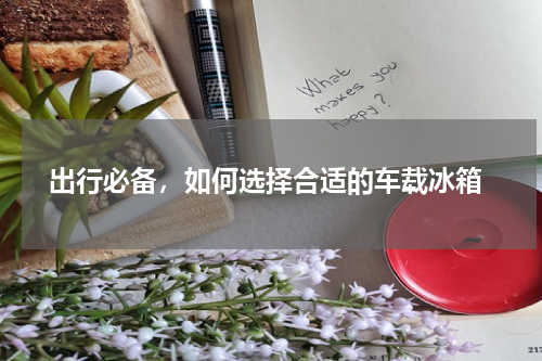  出行必备，如何选择合适的车载冰箱