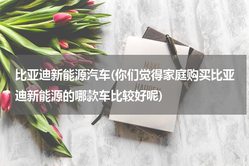 比亚迪新能源汽车(你们觉得家庭购买比亚迪新能源的哪款车比较好呢)
