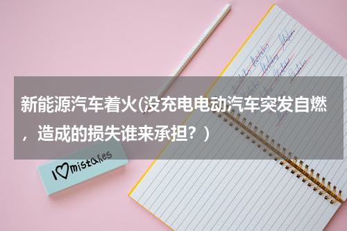 新能源汽车着火(没充电电动汽车突发自燃，造成的损失谁来承担？)