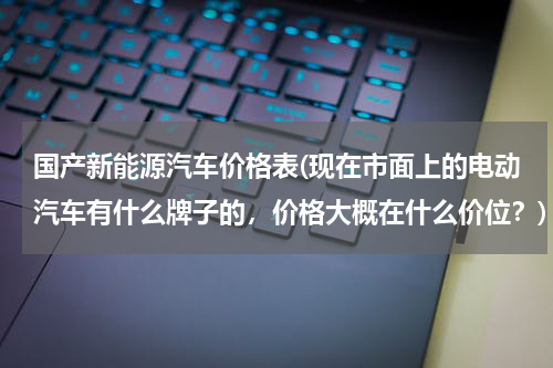 国产新能源汽车价格表(现在市面上的电动汽车有什么牌子的，价格大概在什么价位？)