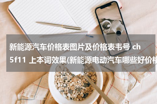 新能源汽车价格表图片及价格表韦号 ch5f11 上本词效果(新能源电动汽车哪些好价格多少)