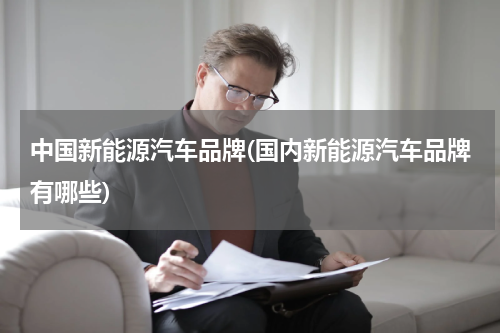 中国新能源汽车品牌(国内新能源汽车品牌有哪些)