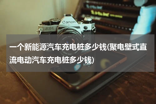 一个新能源汽车充电桩多少钱(聚电壁式直流电动汽车充电桩多少钱)