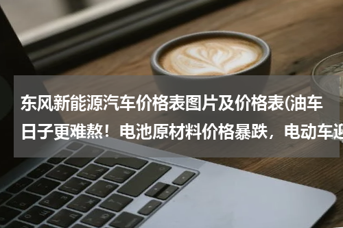 东风新能源汽车价格表图片及价格表(油车日子更难熬！电池原材料价格暴跌，电动车迎来一波降价潮)