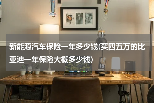 新能源汽车保险一年多少钱(买四五万的比亚迪一年保险大概多少钱)