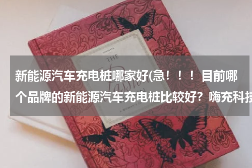新能源汽车充电桩哪家好(急！！！目前哪个品牌的新能源汽车充电桩比较好？嗨充科技的如何？)