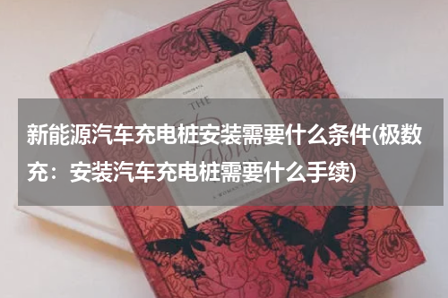 新能源汽车充电桩安装需要什么条件(极数充：安装汽车充电桩需要什么手续)