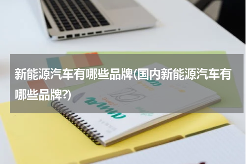 新能源汽车有哪些品牌(国内新能源汽车有哪些品牌?)