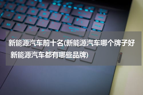 新能源汽车前十名(新能源汽车哪个牌子好 新能源汽车都有哪些品牌)