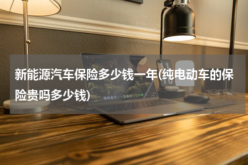 新能源汽车保险多少钱一年(纯电动车的保险贵吗多少钱)