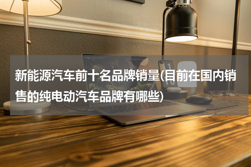 新能源汽车前十名品牌销量(目前在国内销售的纯电动汽车品牌有哪些)