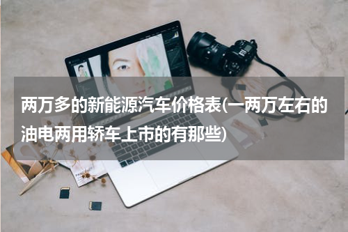 两万多的新能源汽车价格表(一两万左右的油电两用轿车上市的有那些)
