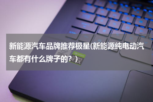 新能源汽车品牌推荐极星(新能源纯电动汽车都有什么牌子的？)