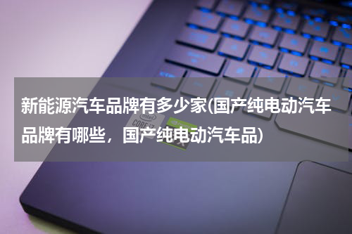 新能源汽车品牌有多少家(国产纯电动汽车品牌有哪些，国产纯电动汽车品)