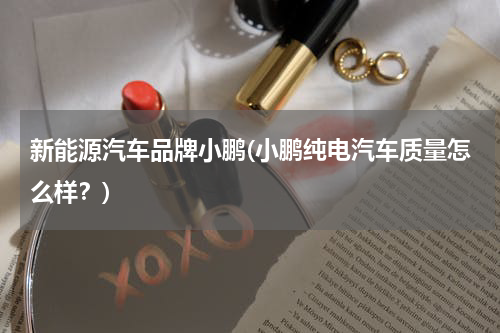新能源汽车品牌小鹏(小鹏纯电汽车质量怎么样？)