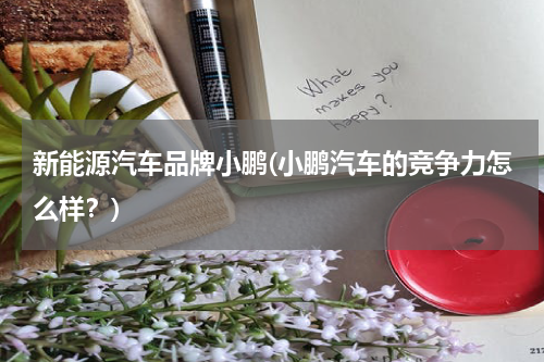 新能源汽车品牌小鹏(小鹏汽车的竞争力怎么样？)