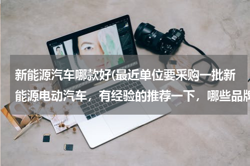 新能源汽车哪款好(最近单位要采购一批新能源电动汽车，有经验的推荐一下，哪些品牌、车型性价比高、质量稳定、郑州维修保养)