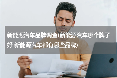 新能源汽车品牌调查(新能源汽车哪个牌子好 新能源汽车都有哪些品牌)