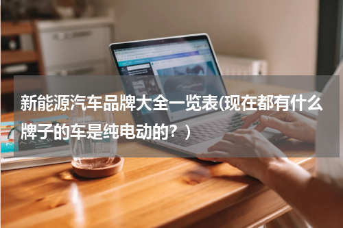 新能源汽车品牌大全一览表(现在都有什么牌子的车是纯电动的？)