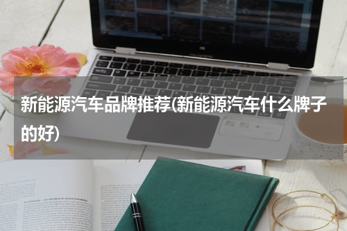 新能源汽车品牌推荐(新能源汽车什么牌子的好)
