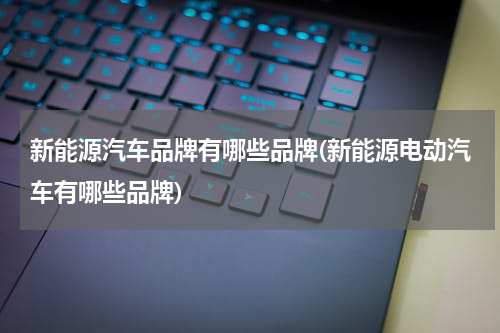 新能源汽车品牌有哪些品牌(新能源电动汽车有哪些品牌)