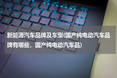 新能源汽车品牌及车型(国产纯电动汽车品牌有哪些，国产纯电动汽车品)