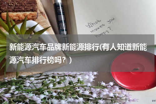 新能源汽车品牌新能源排行(有人知道新能源汽车排行榜吗？)