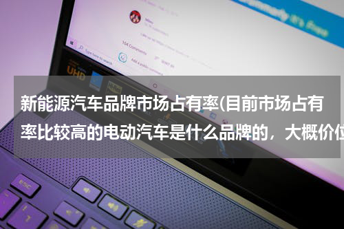 新能源汽车品牌市场占有率(目前市场占有率比较高的电动汽车是什么品牌的，大概价位多少？)