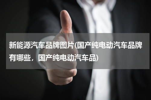 新能源汽车品牌图片(国产纯电动汽车品牌有哪些，国产纯电动汽车品)