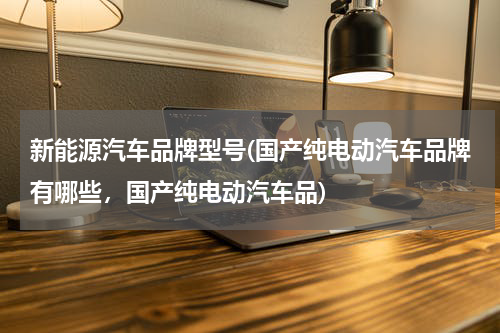 新能源汽车品牌型号(国产纯电动汽车品牌有哪些，国产纯电动汽车品)