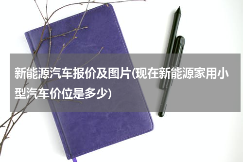 新能源汽车报价及图片(现在新能源家用小型汽车价位是多少)