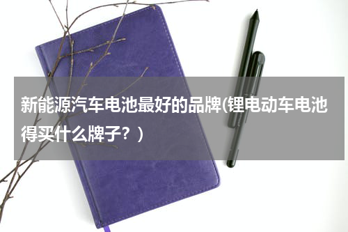 新能源汽车电池最好的品牌(锂电动车电池得买什么牌子？)