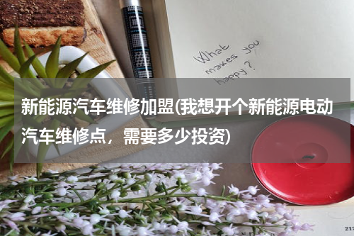 新能源汽车维修加盟(我想开个新能源电动汽车维修点，需要多少投资)