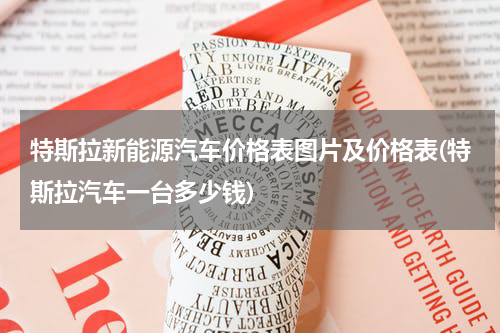 特斯拉新能源汽车价格表图片及价格表(特斯拉汽车一台多少钱)