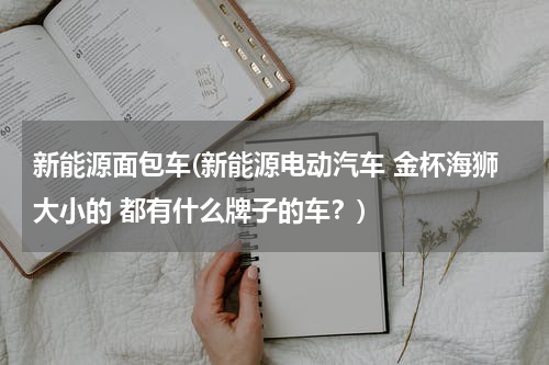 新能源面包车(新能源电动汽车 金杯海狮大小的 都有什么牌子的车？)