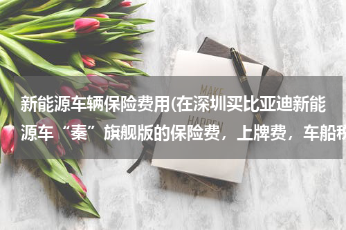 新能源车辆保险费用(在深圳买比亚迪新能源车“秦”旗舰版的保险费，上牌费，车船税一次性需要缴纳多少钱？)