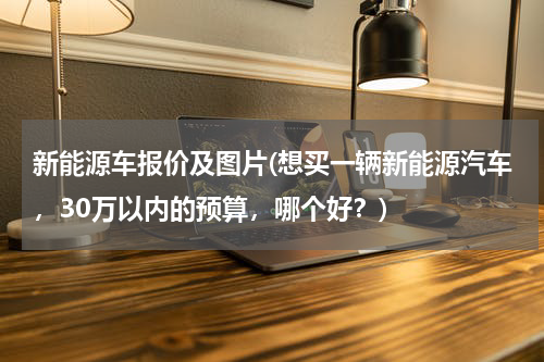 新能源车报价及图片(想买一辆新能源汽车,30万以内的预算,哪个好?)