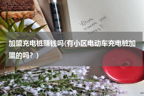 加盟充电桩赚钱吗(有小区电动车充电桩加盟的吗？)