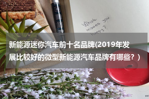 新能源迷你汽车前十名品牌(2019年发展比较好的微型新能源汽车品牌有哪些？)
